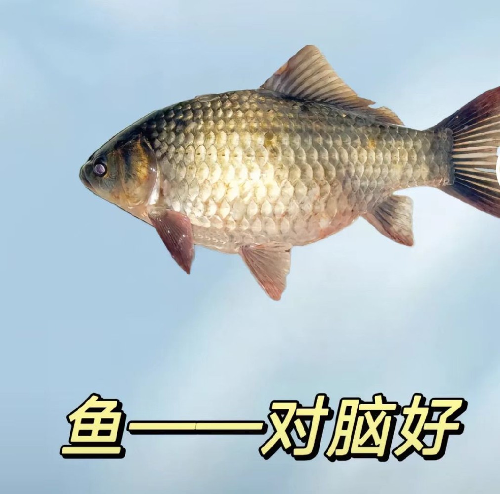 b4b60bc221c4fe0832dc106ec5c555b.jpg